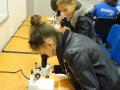 DSC05208_small.JPG