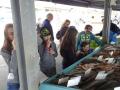 DSC06778_site.JPG